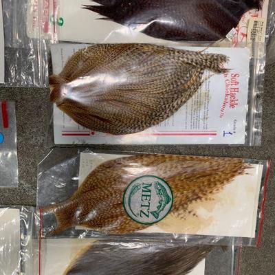 #19 Misc. Bird Feathers