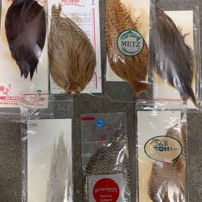 #19 Misc. Bird Feathers
