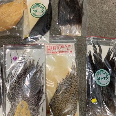 #20 Misc. Bird Feather Bundle