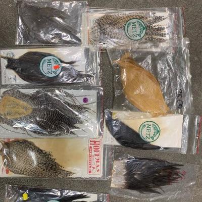 #20 Misc. Bird Feather Bundle