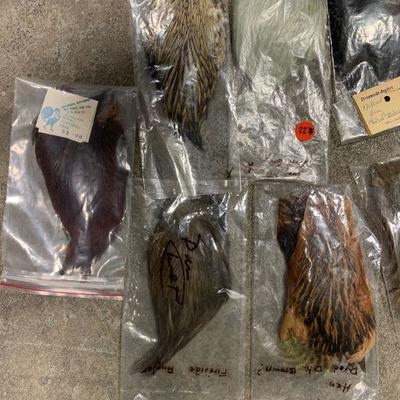 #22 Misc Bird Feathers