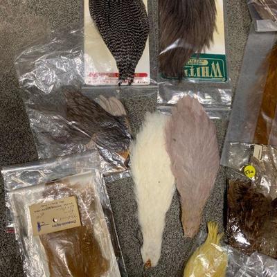 #26 Misc. Bird Feathers