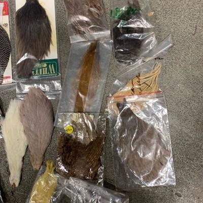 #26 Misc. Bird Feathers