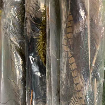#43 Misc. Feathers