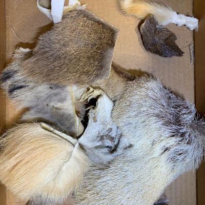 #52 Animal Fur for Fly Tying