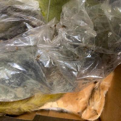 #70 Animal Fur for Fly Tying