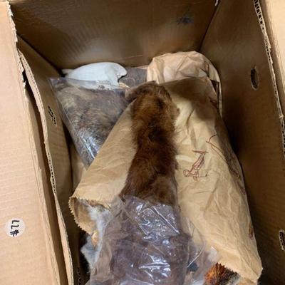 #77 Animal Fur for Fly Tying