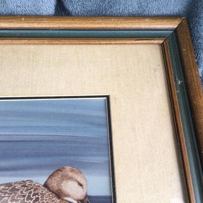 STEVE LEONARDI Signed and Numbered 71/200 Wildlife Print â€œDucksâ€ 