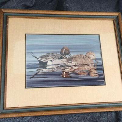STEVE LEONARDI Signed and Numbered 71/200 Wildlife Print â€œDucksâ€ 
