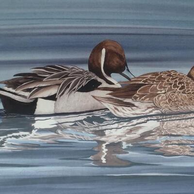 STEVE LEONARDI Signed and Numbered 71/200 Wildlife Print â€œDucksâ€ 
