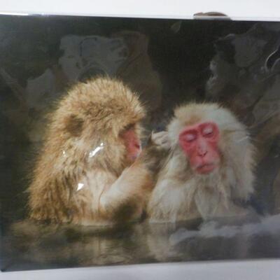 Hand crafted wooden doll sled and primate picture.