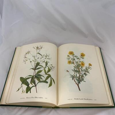 .99. Vintage | Wild Flowers of America | 1953
