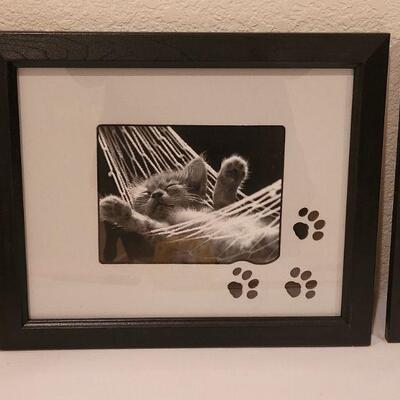 Lot 2: (2) Framed Kitten Black & White Pictures 