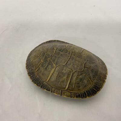 -32- VINTAGE | Turtle Shell