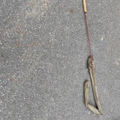 233 L.L. Bean and St. Croix Fly Fishing Rods 