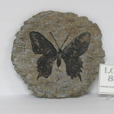 Butterfly Stepping Stone