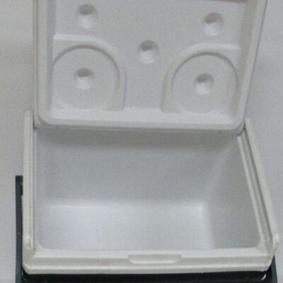 Little Coleman 6 Pack Cooler