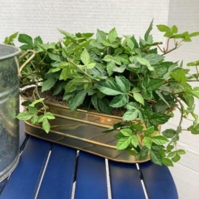 O - 293  Fountain / Table / Faux Plant 
