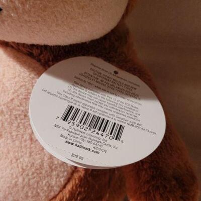 Lot 31: HALLMARK Record a Name Bear - Turns On