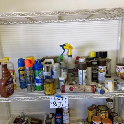 871-Misc. Paint, Gloves, Paint Supples, Etc..