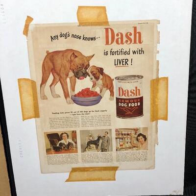 Vintage Spaniel Hunting Dog Post Cover Art