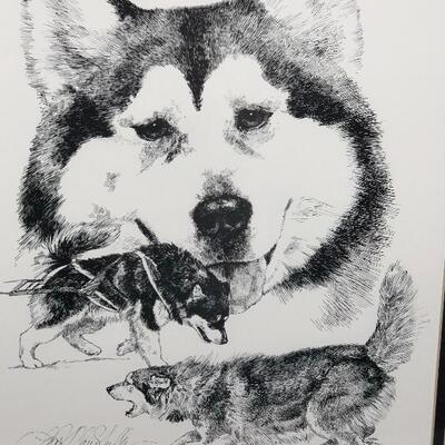 Vintage Artist Signed & Numbered Husky Dog Artwork 1986