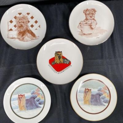 Set of 5 Yorkie Dog Collector Plates