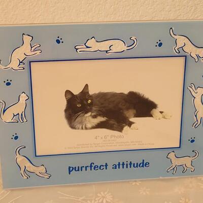Lot 321: Cat Picture Frames