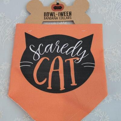 Lot 349: (2) Cat Pet Tags and Small Pet Bandana
