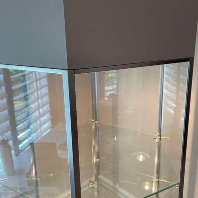 #21 Nice Hexagon Lite Curio Cabinet - Steel, Glass, Formica 