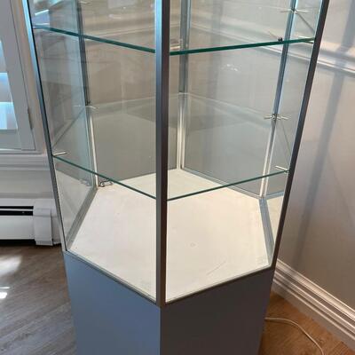 #21 Nice Hexagon Lite Curio Cabinet - Steel, Glass, Formica 