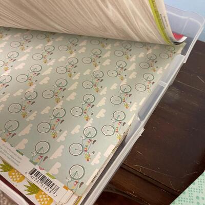#153 B Case of Scrapbooking Paper - Outdoor