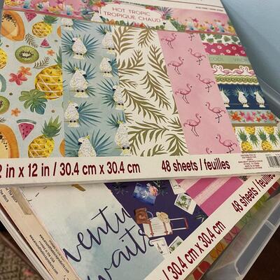 #153 B Case of Scrapbooking Paper - Outdoor