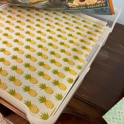 #153 B Case of Scrapbooking Paper - Outdoor