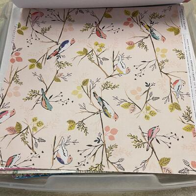 #162B Case of Scrap Book paper Misc. designs