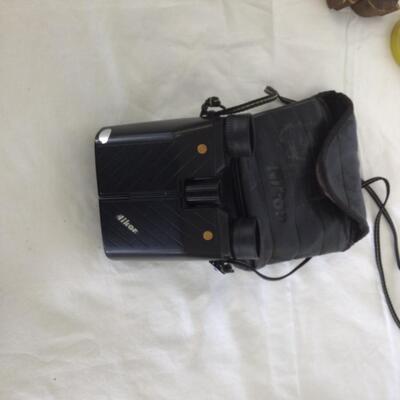 981-Nikon (Travel Lite 2) Binoculars, Wooden Pig and more