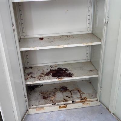 #88  Pair of Steel/Fireproof Lockers/Cabinets THOMASTON Mills