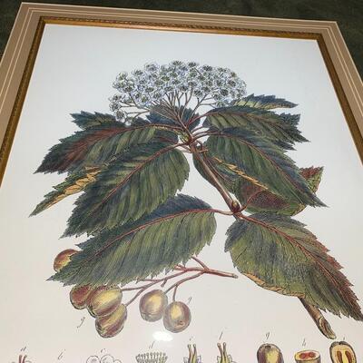 #97 PR of Fine Vases & Centerpiece Picture 