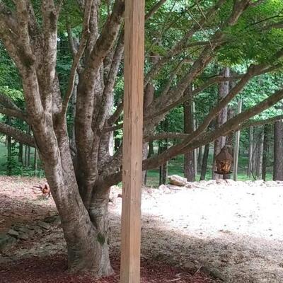 #111 Great Hand Made Bird House with Post