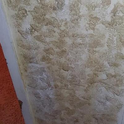 #118 Sponge Painted Antique Wardrobe 