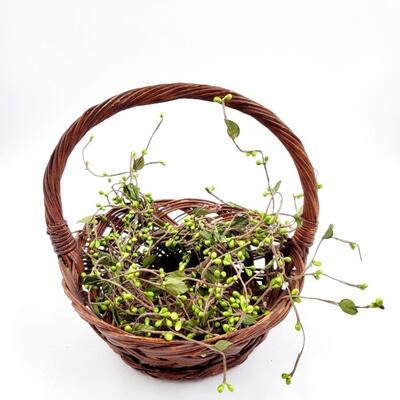 HOME DECOR BUNDLE