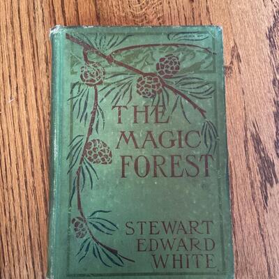 LOT 100 - Classic Children's Books, Vintage (2 books)