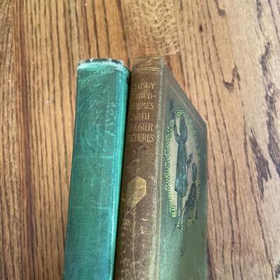 LOT 100 - Classic Children's Books, Vintage (2 books)