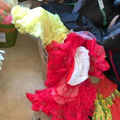 Large lot of Costumes #1