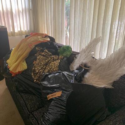 Large lot of Costumes #1
