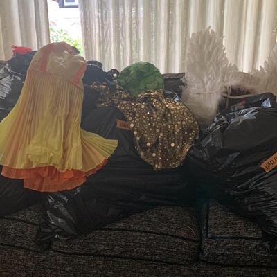Large lot of Costumes #1
