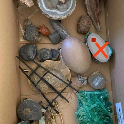 Rock and Mineral collection