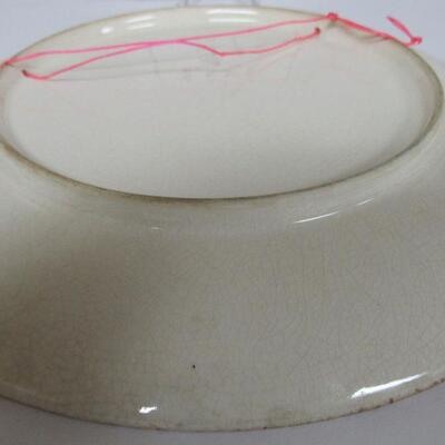 Vintage Bird Plate, Unmarked, Don't Know Maker, read description for more details