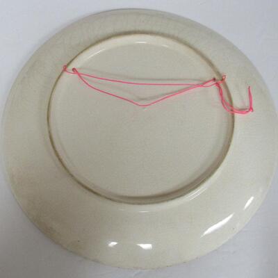 Vintage Bird Plate, Unmarked, Don't Know Maker, read description for more details