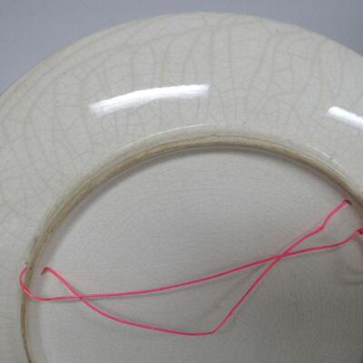 Vintage Bird Plate, Unmarked, Don't Know Maker, read description for more details